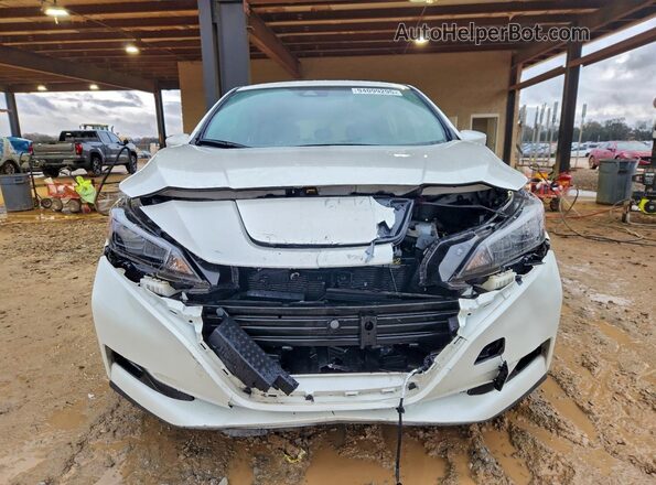 1N4CZ1CV4PC555502 2023 NISSAN LEAF Белый Вид спереди