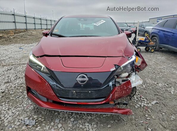1N4CZ1CV7RC553665 2024 NISSAN LEAF Maroon Widok z przodu