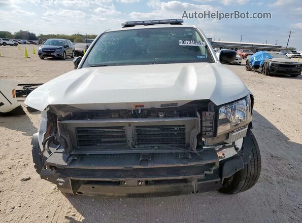 1N6ED1CL4RN673859 2024 NISSAN FRONTIER Белый Вид спереди