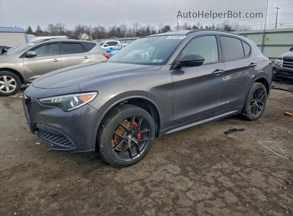 ZASPAKBN6L7C84754 2020 ALFA ROMEO STELVIO Gray უკანა მარცხენა