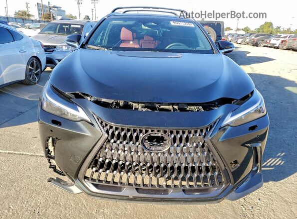 2T2ADCAZXSC020817 2025 LEXUS NX Black Rear view