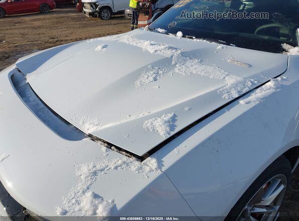 2C3CDBDK9RR206224 2024 DODGE CHARGER White Widok z tyłu
