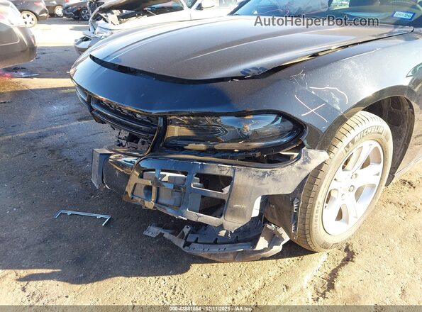 2C3CDXBG1PH686919 2023 DODGE CHARGER Black Vista frontal