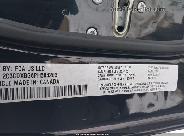 2C3CDXBG6PH564203 2023 DODGE CHARGER Black Widok komory silnika