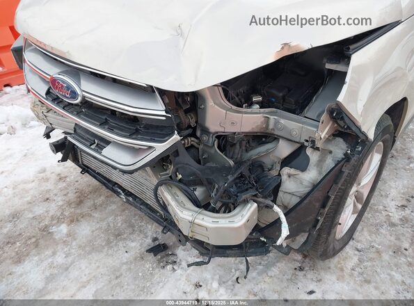 2FMPK3J94JBC04738 2018 FORD EDGE Beige Widok z przodu