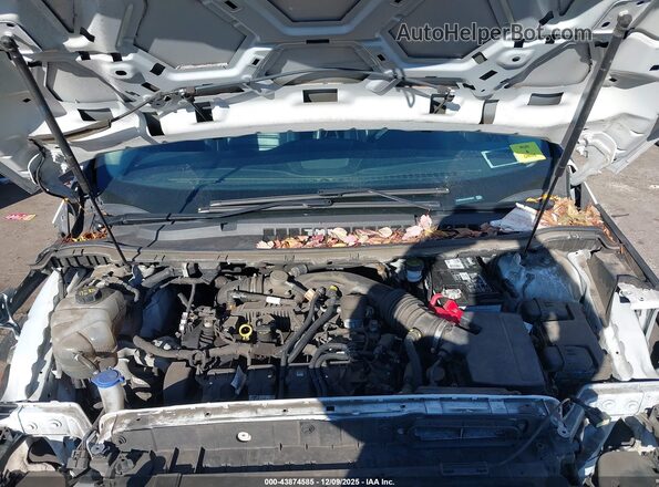 2FMPK4J94LBA58852 2020 FORD EDGE White Vista trasera