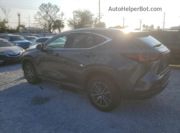 2T2ADCAZ5SC023012 2025 LEXUS NX Gray Rear left