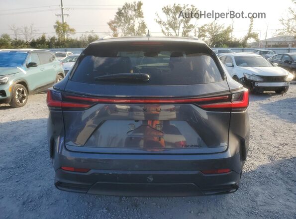 2T2ADCAZ5SC023012 2025 LEXUS NX Gray Rear view