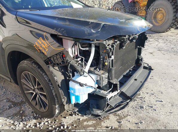 2T2ADCEZ8RC005091 2024 LEXUS NX 250 Black 