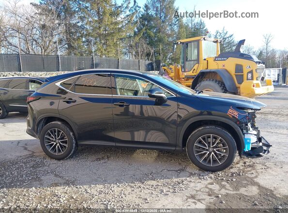 2T2ADCEZ8RC005091 2024 LEXUS NX 250 Black სალონის 360-გრადუსიანი ხედი