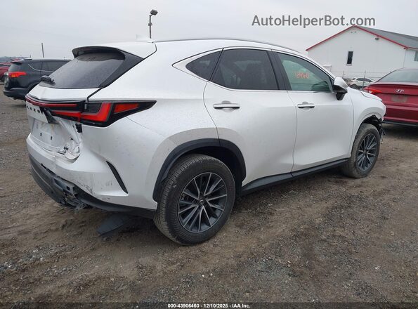 2T2AGCEZ3SC086448 2025 LEXUS NX 350 Белый Задняя правая четверть