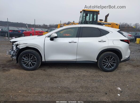 2T2AGCEZ3SC086448 2025 LEXUS NX 350 Белый Панорамный вид салона 360°