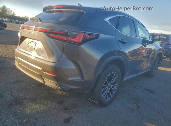 2T2AGCEZ4SC081601 2025 LEXUS NX Серый 