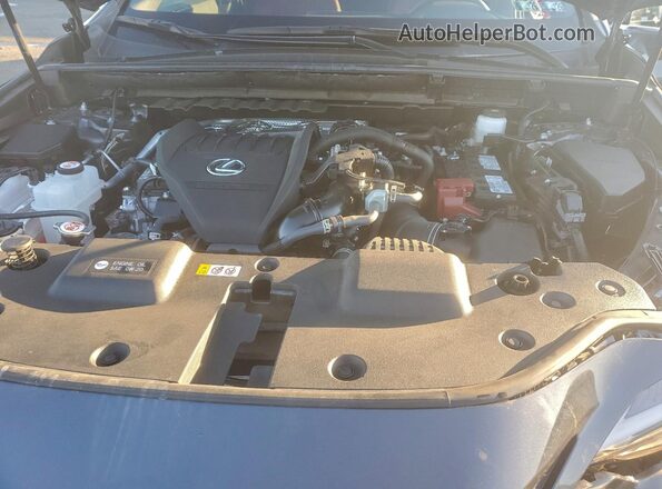 2T2AGCEZ4SC081601 2025 LEXUS NX Серый 