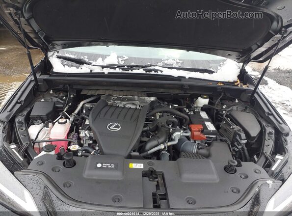 2T2AGCEZ5NC004045 2022 LEXUS NX 350 Black Вид ззаду