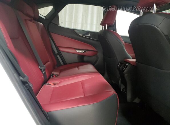 2T2AGCEZXRC034096 2024 LEXUS NX White 