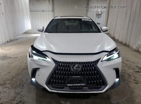 2T2AGCEZXRC034096 2024 LEXUS NX White 