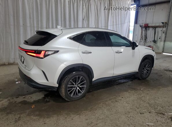2T2AGCEZXRC034096 2024 LEXUS NX White 