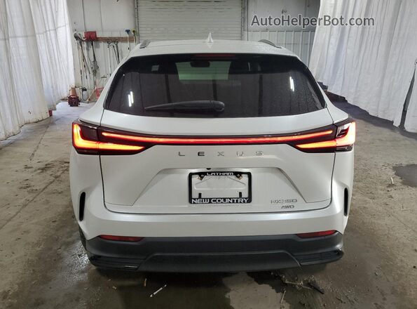 2T2AGCEZXRC034096 2024 LEXUS NX White 