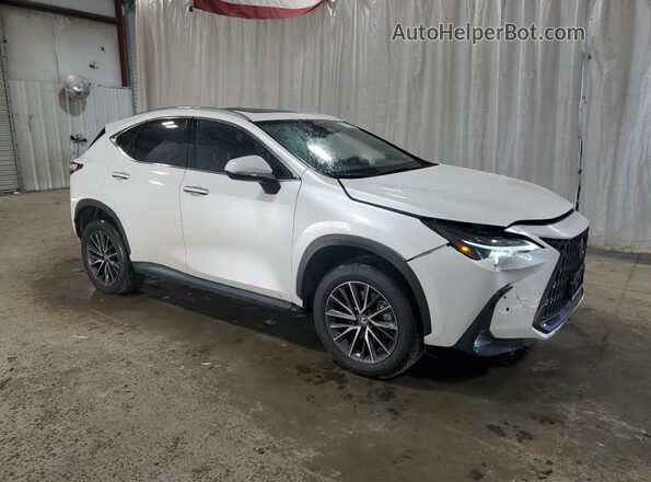 2T2AGCEZXRC034096 2024 LEXUS NX White 