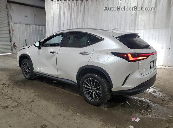 2T2AGCEZXRC034096 2024 LEXUS NX White 