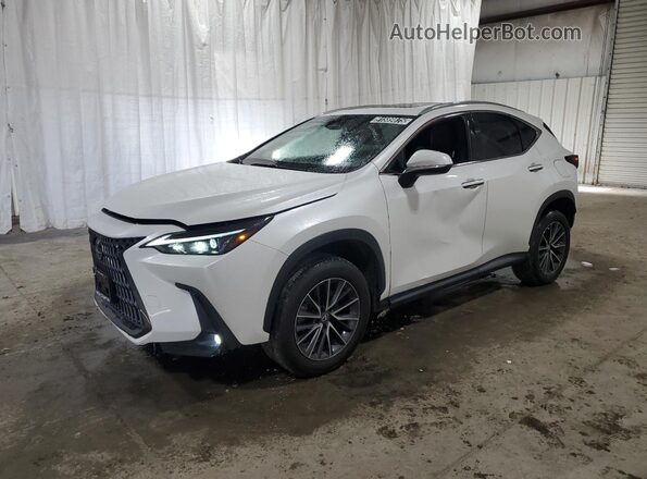 2T2AGCEZXRC034096 2024 LEXUS NX White 
