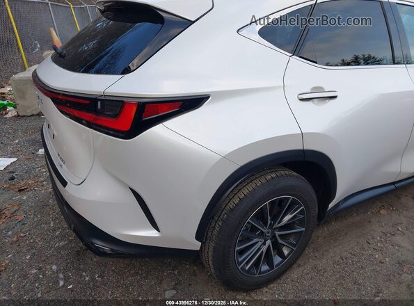 2T2AGCEZXSC084048 2025 LEXUS NX 350 White Tył prawy