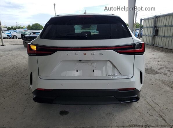 2T2AGCEZXTC094886 2026 LEXUS NX White Вид ззаду