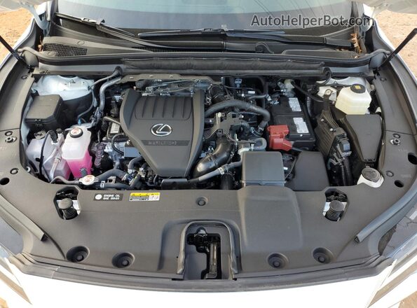 2T2BAMBA3SC065710 2025 LEXUS RX White Շարժիչի բաժամունքի տեսք
