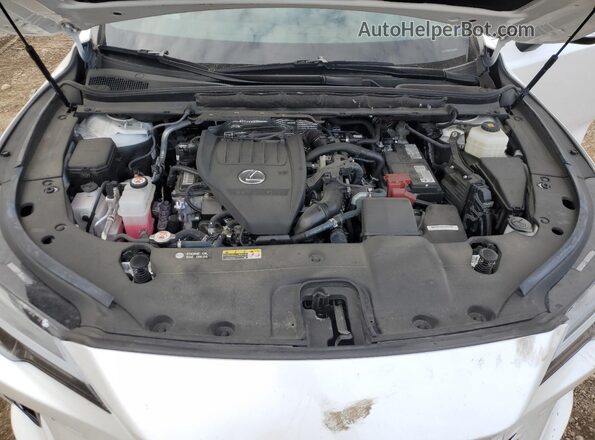 2T2BAMBA9PC011271 2023 LEXUS RX White უკანა სალონის ხედი