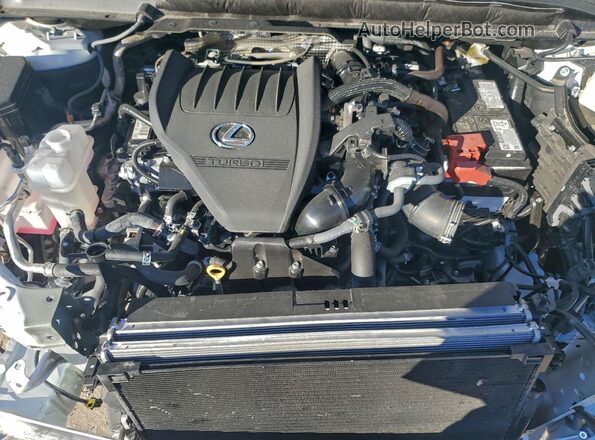 2T2BAMBAXSC058186 2025 LEXUS RX White Вид задньої частини салону