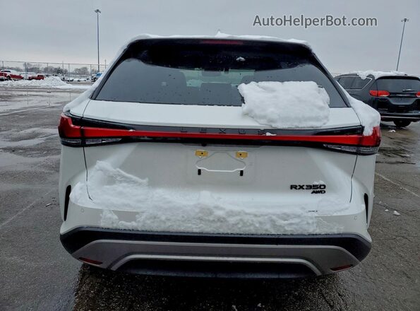 2T2BAMCA0SC106566 2025 LEXUS RX Белый Вид сзади