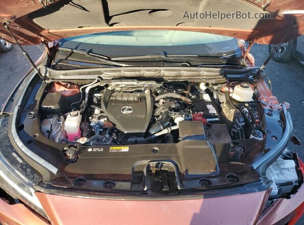2T2BAMCA8PC032899 2023 LEXUS RX Orange 