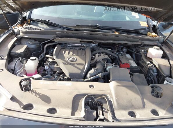 2T2BAMCA9RC060262 2024 LEXUS RX 350 Серый Вид сзади