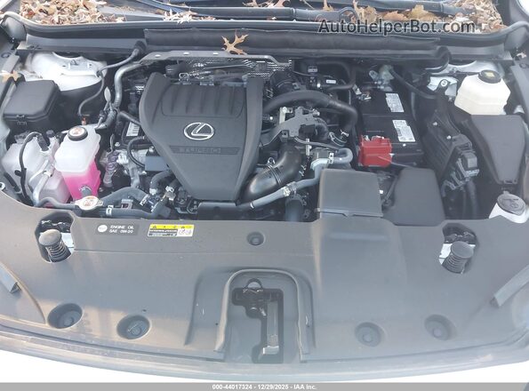 2T2BAMCAXRC082450 2024 LEXUS RX 350 White უკანა ხედი