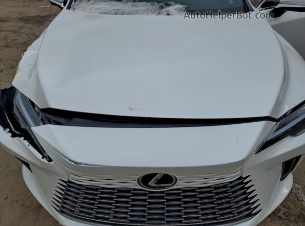 2T2BBMCA4SC099456 2025 LEXUS RX Белый Вид задней части салона