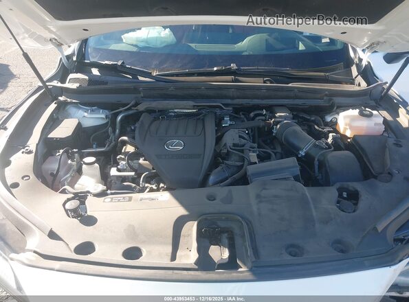 2T2BCMEA6PC009788 2023 LEXUS RX 500H Белый Вид сзади