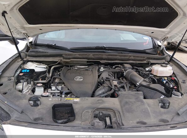 2T2BCMEA9RC012784 2024 LEXUS RX 500H White უკანა ხედი