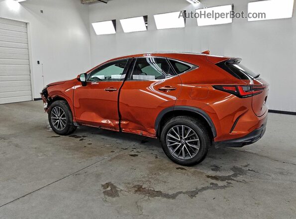 2T2GDCAZ1PC003051 2023 LEXUS NX Orange 