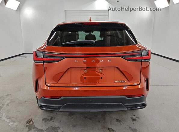2T2GDCAZ1PC003051 2023 LEXUS NX Orange 