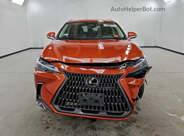2T2GDCAZ1PC003051 2023 LEXUS NX Orange 