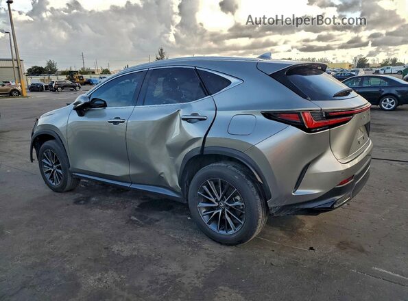 2T2GDCAZ5RC006375 2024 LEXUS NX Tan Rear left