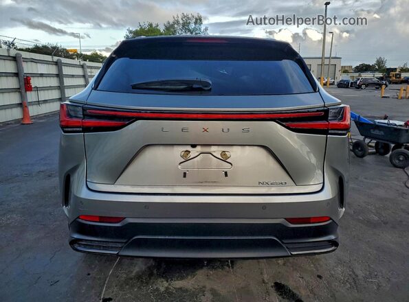 2T2GDCAZ5RC006375 2024 LEXUS NX Tan Rear view