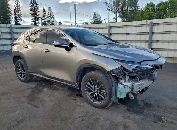2T2GDCAZ5RC006375 2024 LEXUS NX Tan Front right