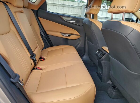2T2GDCAZ5RC006375 2024 LEXUS NX Tan Rear interior view