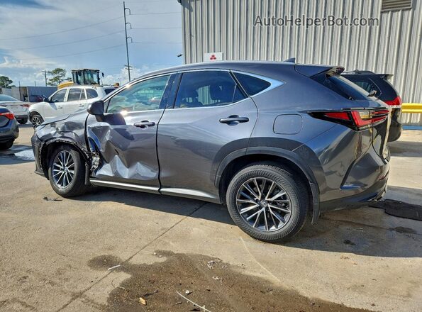 2T2GDCAZ7RC015059 2024 LEXUS NX Gray უკანა მარცხენა