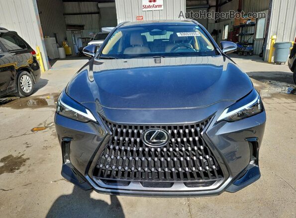 2T2GDCAZ7RC015059 2024 LEXUS NX Gray წინა ხედი