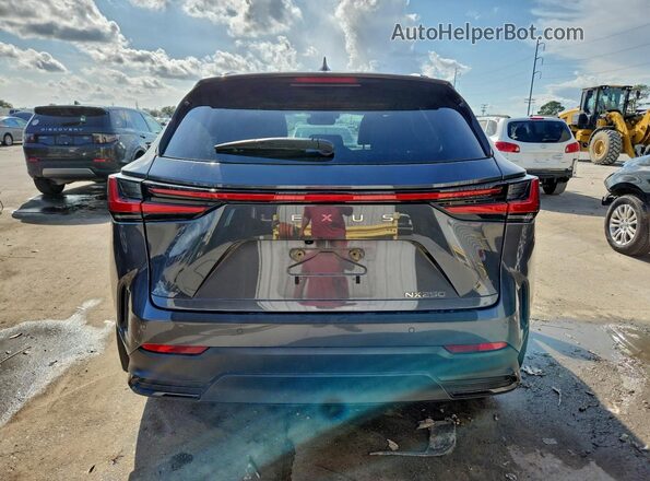 2T2GDCAZ7RC015059 2024 LEXUS NX Gray უკანა ხედი