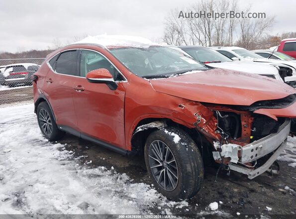 2T2GDCAZ8PC003435 2023 LEXUS NX 250 Orange Սալոնի 360 աստիճան տեսք