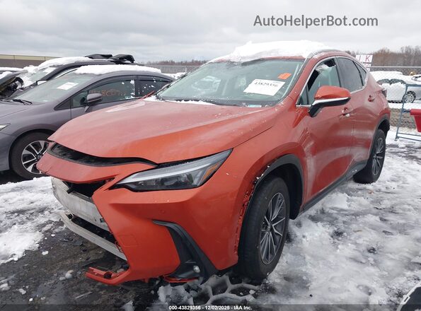 2T2GDCAZ8PC003435 2023 LEXUS NX 250 Orange Առջևի ձախ երեք քառորդ տեսարան
